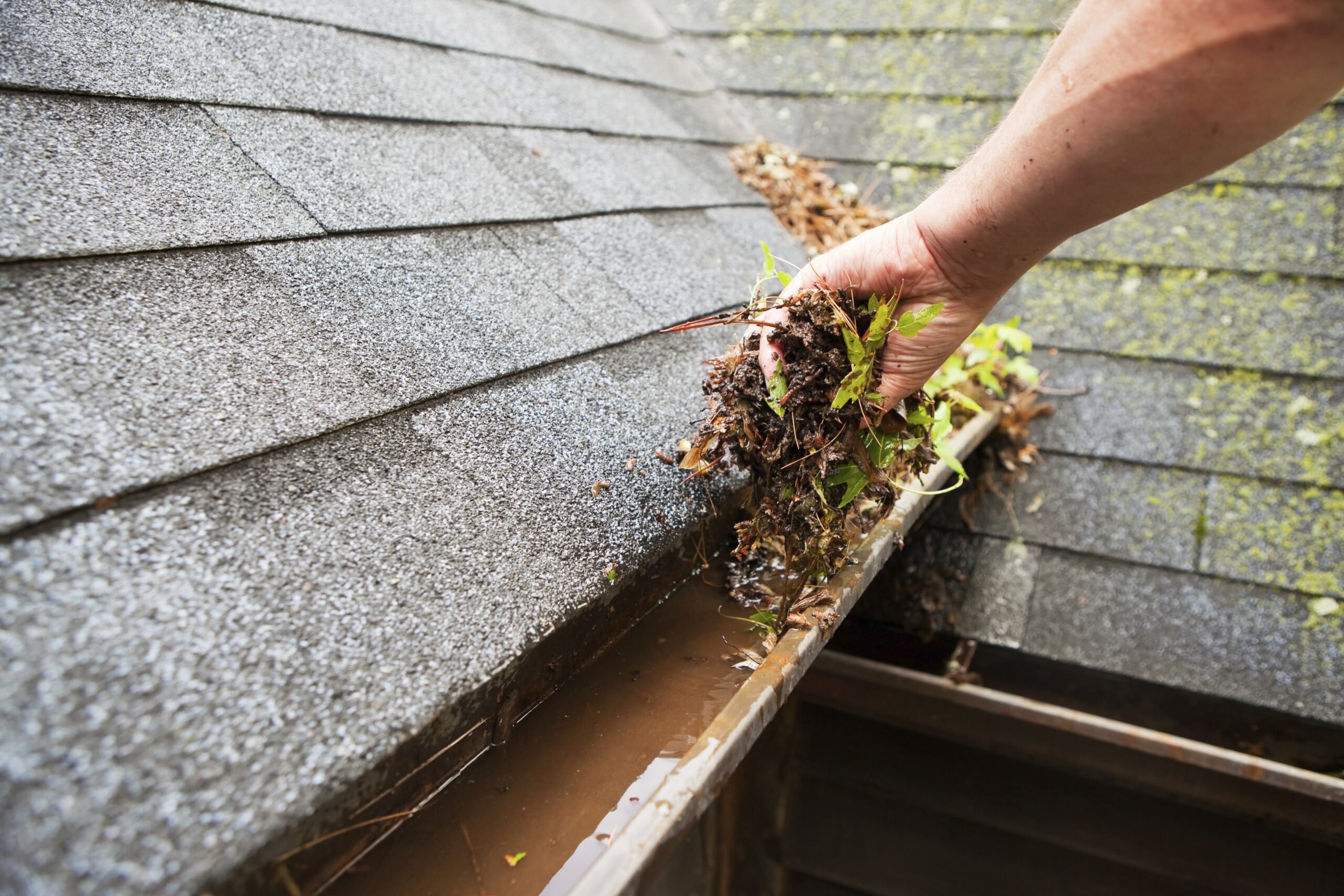 How to Improve Your Roof’s Health: Tips for Maintaining Good Gutters