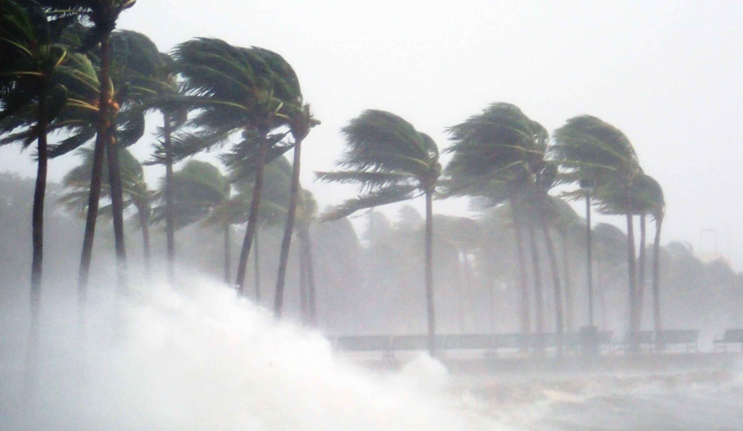 Eyeing the Damage: Understanding the Impact of Hurricanes on Your Roof