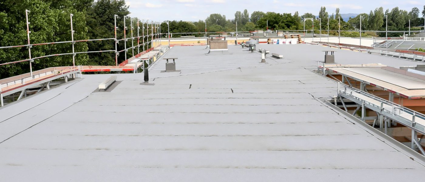 Flat Roof Problems in Florida: What Business Owners Should Watch For