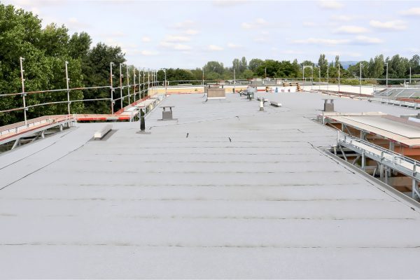 Flat Roof Problems in Florida: What Business Owners Should Watch For